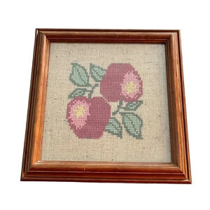 Apple Needlepoint Framed